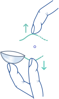 lente polpastrelli image