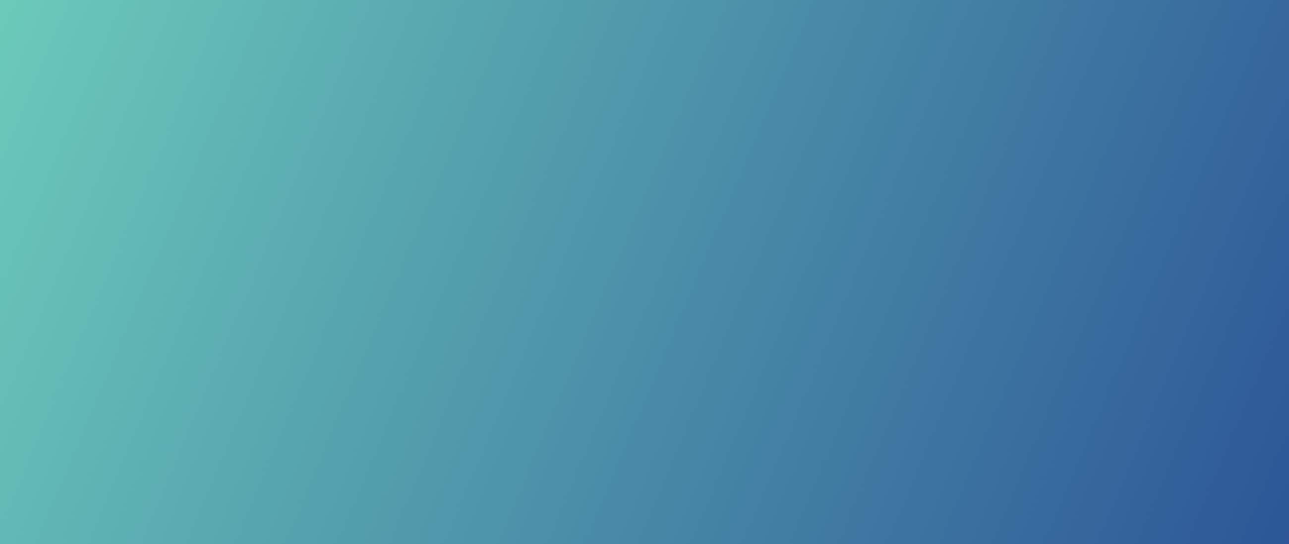 Precision One indossare one